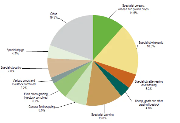 Pie chart of French farm output in 2010 by farming type, led by vineyards at 18.5% and dairying at 13%