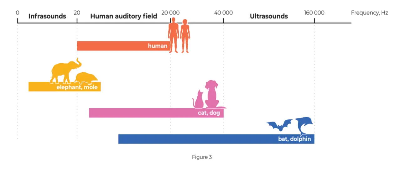 Chart of hearing ranges in Hz, comparing humans with elephants, cats and dogs, and bats and dolphins
