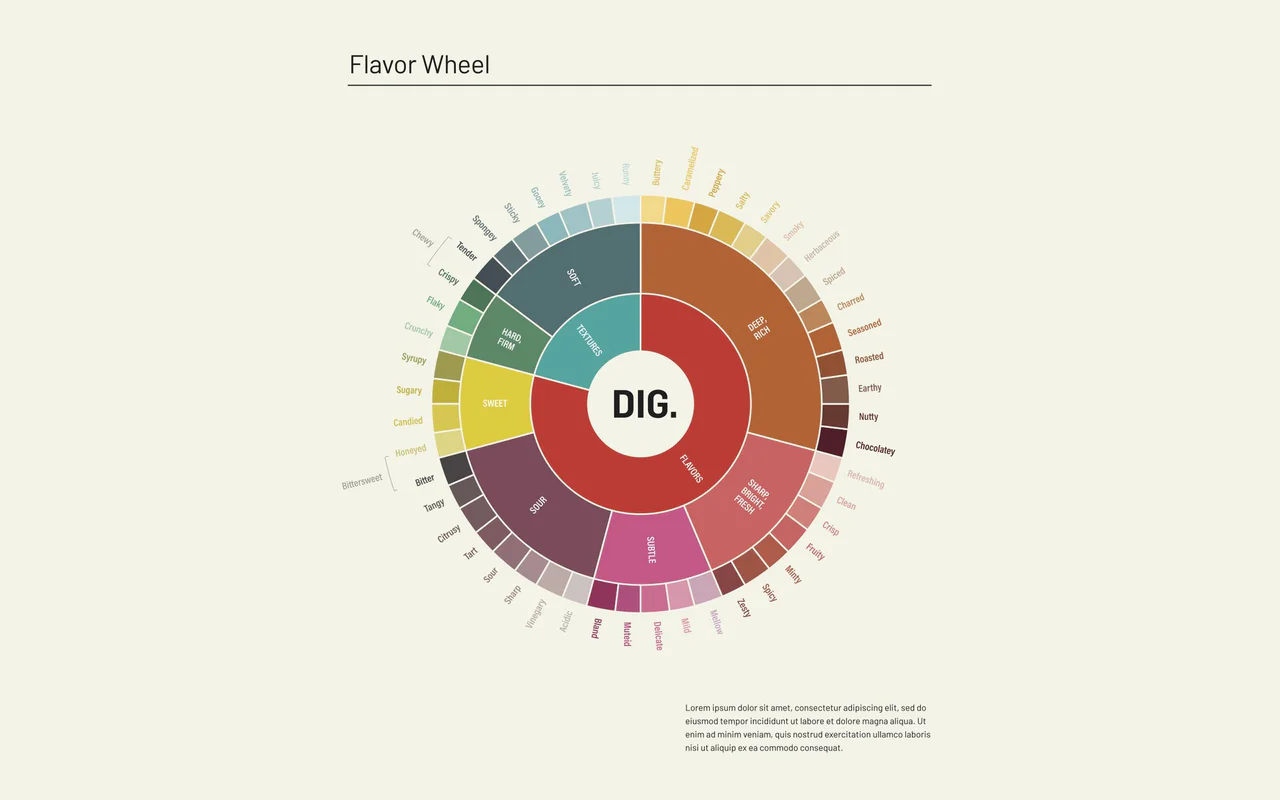 A circular flavor wheel with DIG at the center, splitting flavors and textures into colored rings of words.